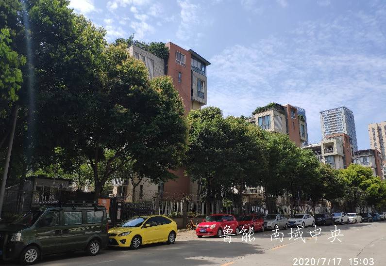 鲁能南域中央