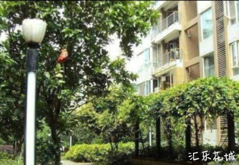 汇乐花城