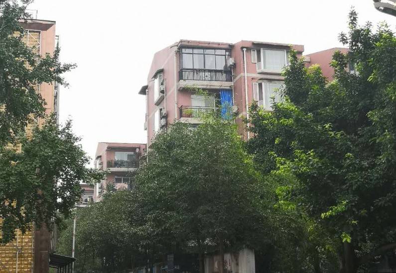北纬31°