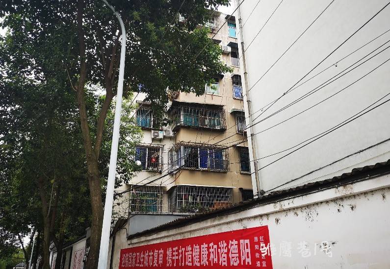 雏鹰巷11号院