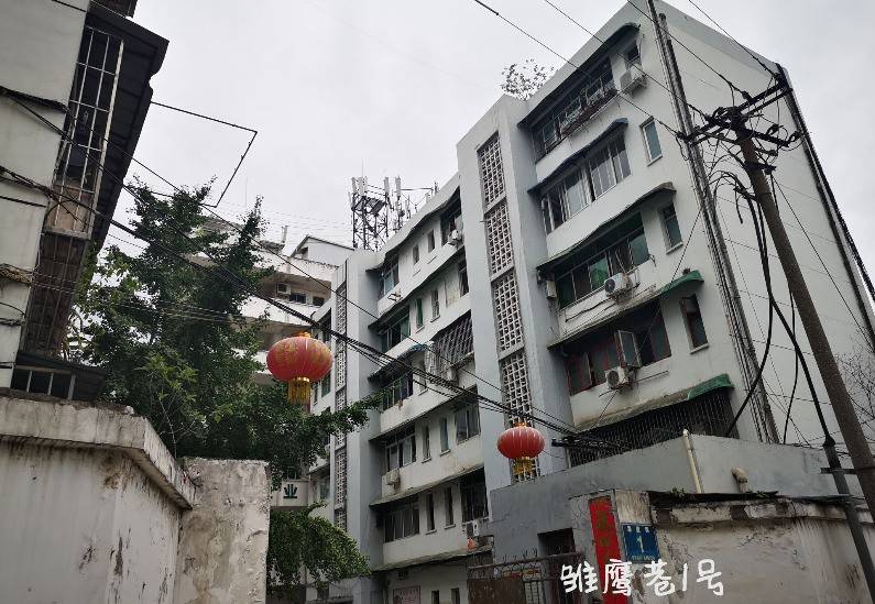 雏鹰巷11号小区