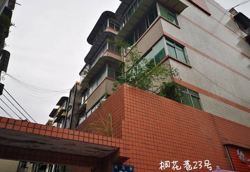 桐花巷38号院