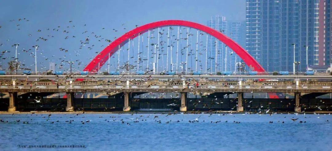 德阳的“两河”时代，石亭江将建设拦河水闸两座