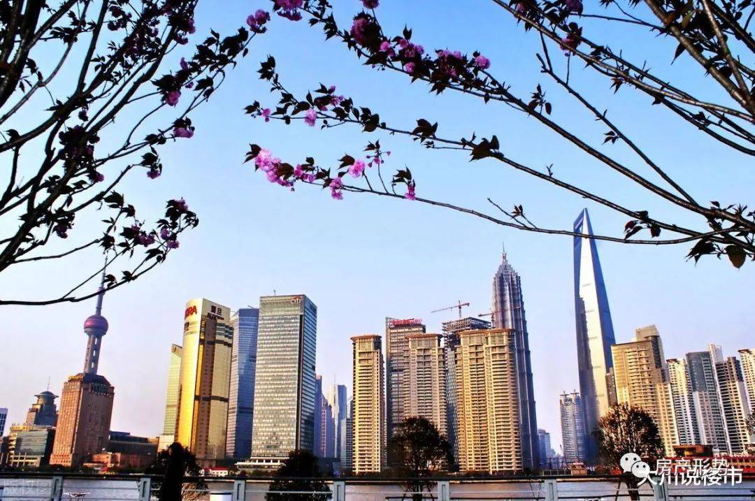 今明两年不买房，5年后“任意选”还是“买不起”？王健林2点忠告