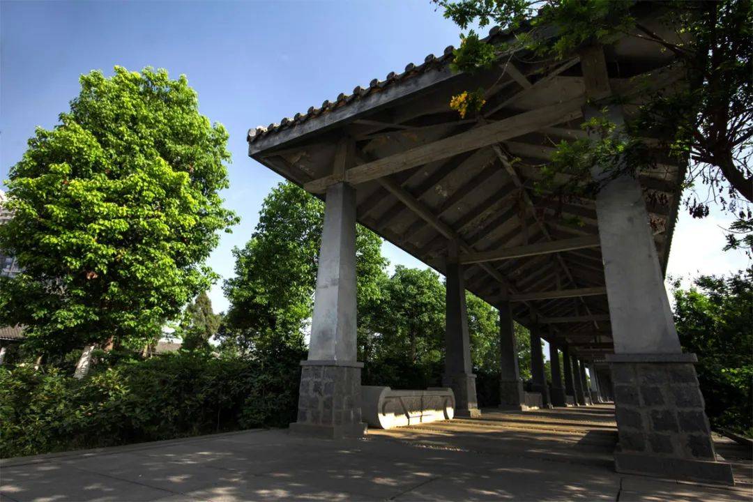 金色维也纳2期：城市向北，宜居风口！学府红盘臻席抢位！