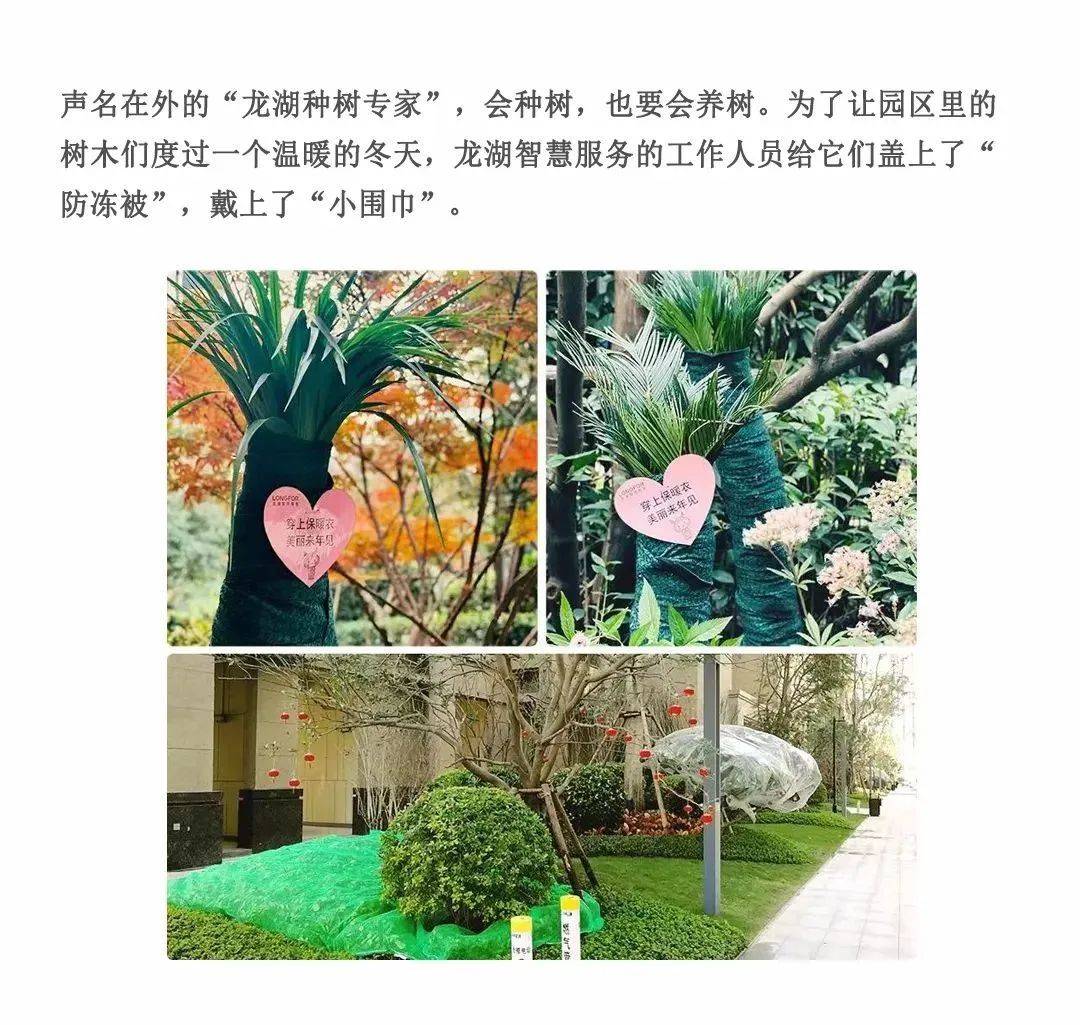 连续12年满意度超90%的头牌物业首入德阳，会擦出怎样的火花？
