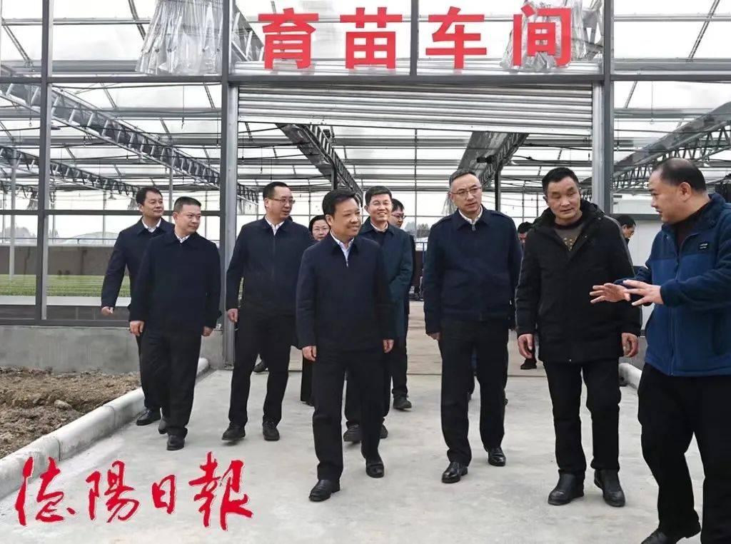 德阳守住耕地保护红线 抓好粮食生产和重要农产品供给
