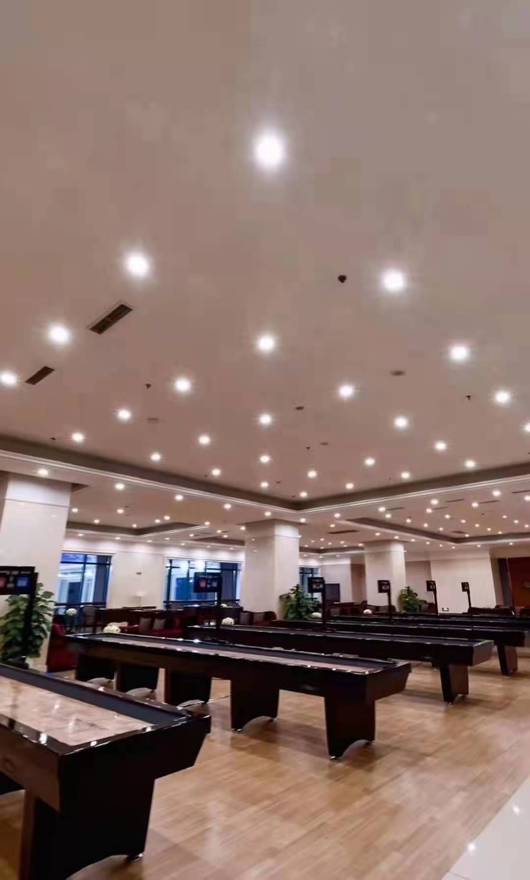 项目是什么建筑风格？