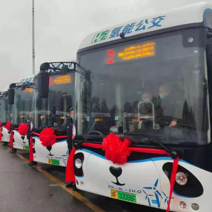 德阳上新一批“熊猫”公交车！要经过这些地方