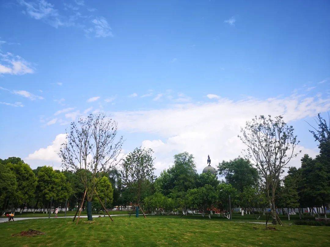 当好“店小二”，德阳市住建局全力护航项目稳步建设