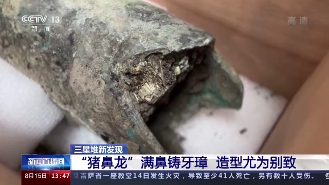 前所未见！德阳三星堆又有新发现