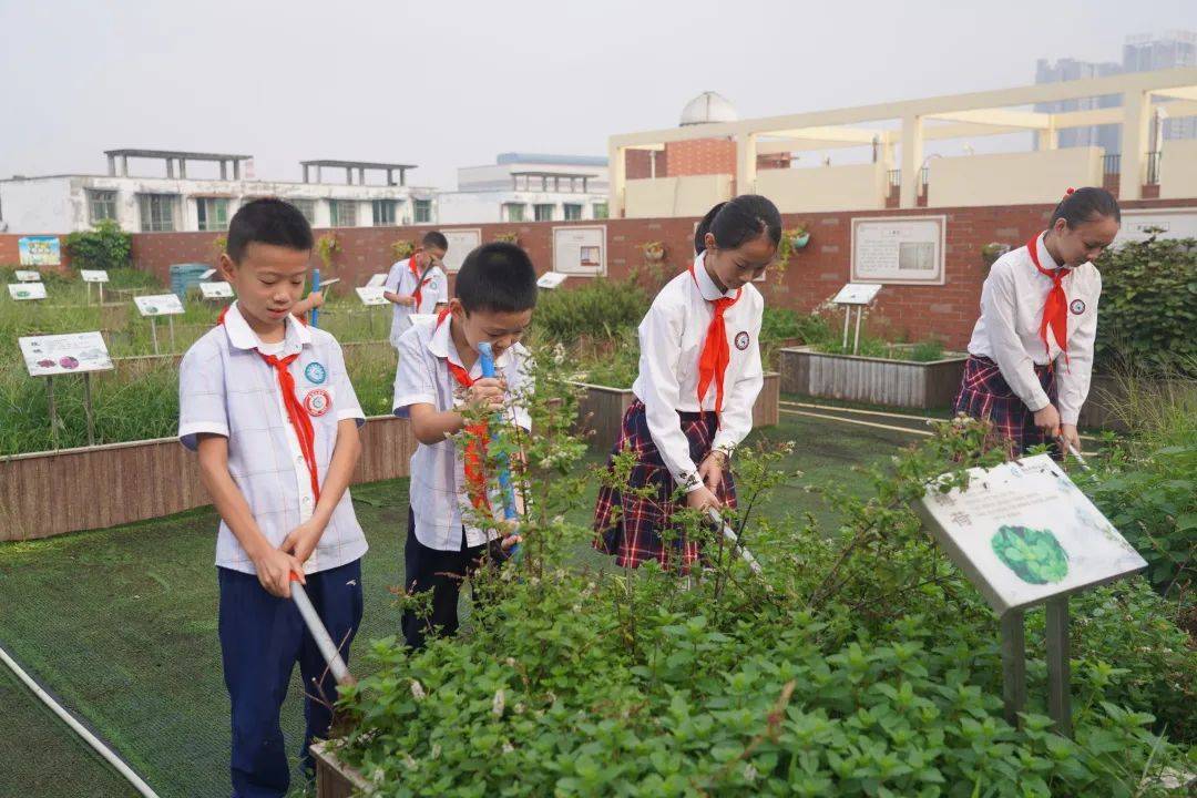 “劳动课”正式列入课表，看德阳中小学如何上好这门课→