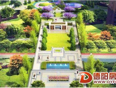 中迪国际