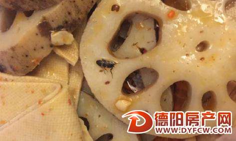 网曝“德阳周黑鸭”吃出蟑螂 周黑鸭回应：这家店是假冒的
