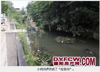 天元镇小河沟污染严重