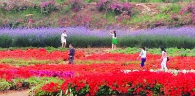 五一小长假全市旅游市场火爆 自驾游乡村游“唱主角”