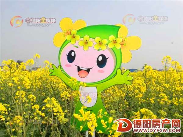 广汉西高4万亩油菜花开了 周末约一个吧！