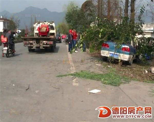 出租车为避让横穿马路电三轮撞上路边行道树