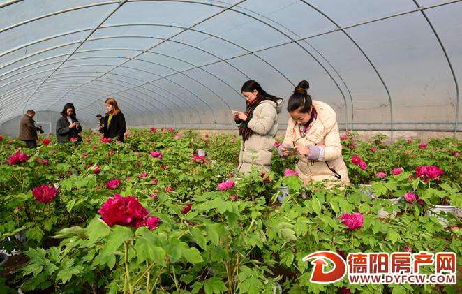 绵竹市遵道镇棚花村颐心谷儿童主题乐园游人如织