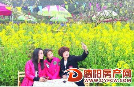 双东赏花月好热闹 启幕当天吸引上万人