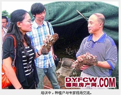 以“菌”为媒 传致富“真经”