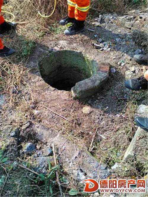 八旬老太荒郊捡柴跌入枯井 被困八天七夜终获救