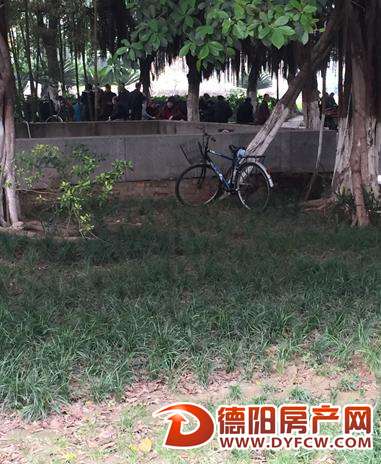 文庙广场 草坪刚换没多久又被踩得乱七八糟
