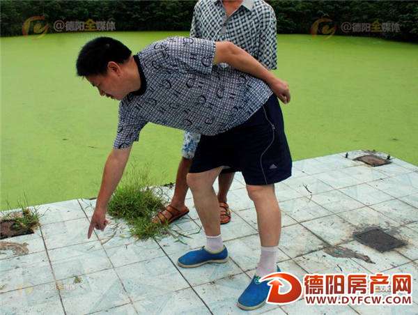 痛心！德阳年轻男子救起落水女子后魂断娱乐文化城的“天鹅湖”