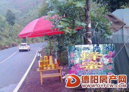 路边“甜头”不要捡 现采蜂蜜真假难辨
