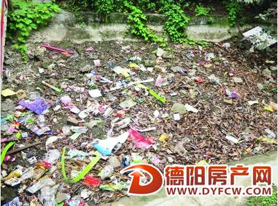 城南鼎虹休闲公园垃圾扎眼 居民盼清理