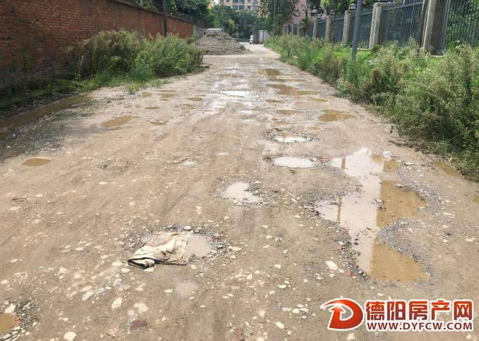 东湖首座小区:这么坑洼的路 几年了都没人修