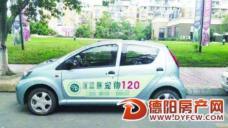 “宠物救护车”现身街头 市民都说稀奇