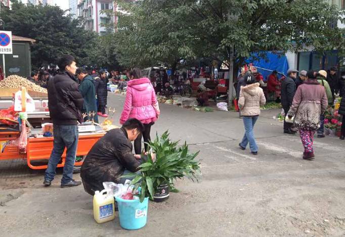 市民反映：蒙山街的地摊又回来了
