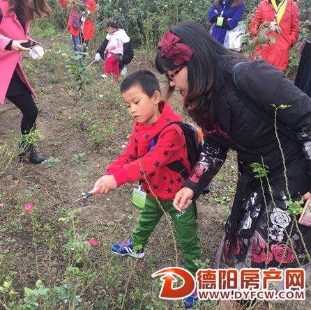 首届德阳城管文化艺术周开幕