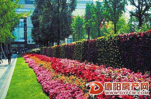 最全赏花攻略来了 9大组团7条线路送你整个春天
