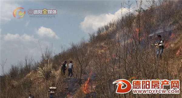 4游客广汉松林野炊引山火 其行为涉嫌违法