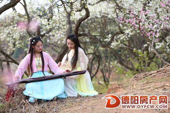“三生三世”相约松林万亩桃花