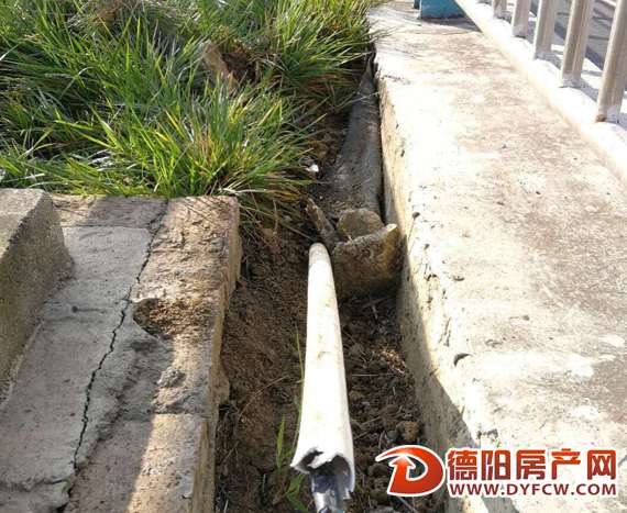 德阳市区电缆频被盗半年损失800多米