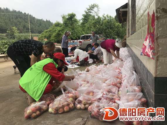 志愿者帮忙采摘运送 2200多斤桃子被抢光