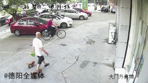 气愤！偷狗贼跟踪遛狗者 监控拍下偷狗瞬间