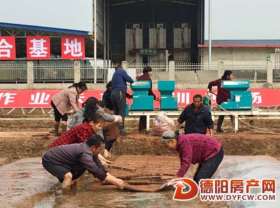 德阳市（绵竹）乡村振兴农民大学正在积极筹建
