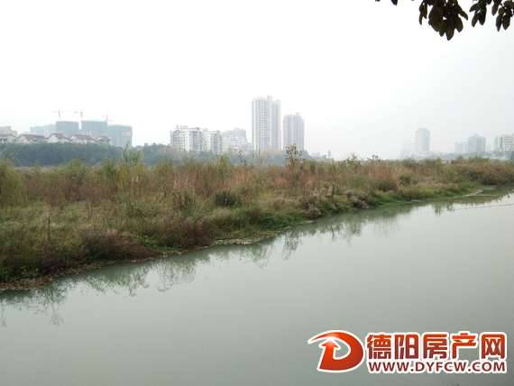 上旌湖河道渐成“树林”市民都有些担心