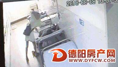 女贼专偷病人和家属一个多月盗得数万元