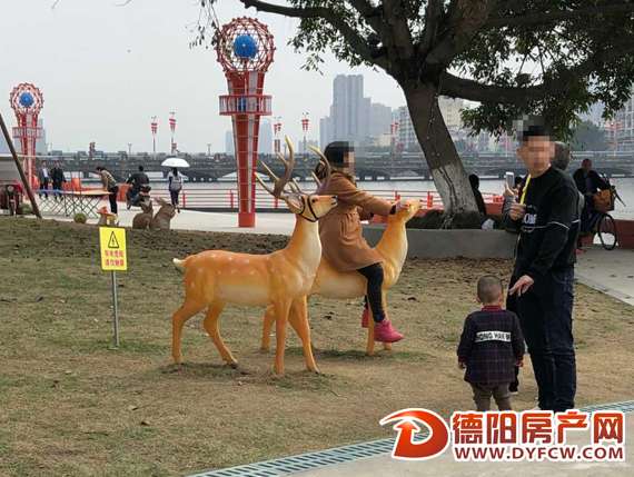 湖边的动物灯不能骑！