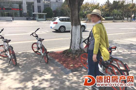 “这些都是我们占的‘红包车’！”