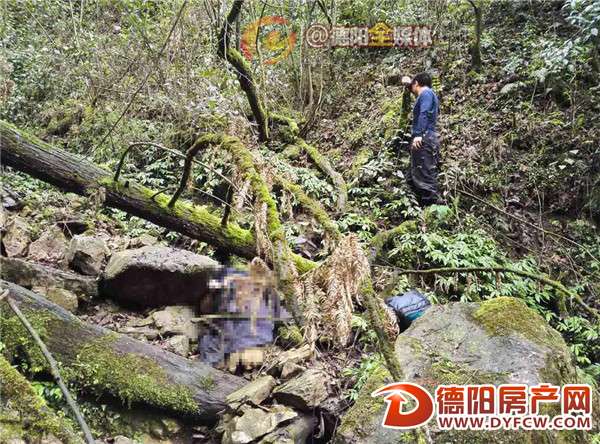 什邡6旬老太上山采药遇难 上百人搜寻6天找到遗体