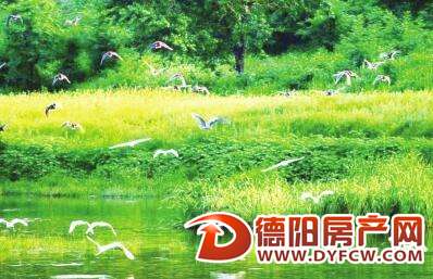 构建城市“绿芯”，柳梢堰湿地公园美景可期