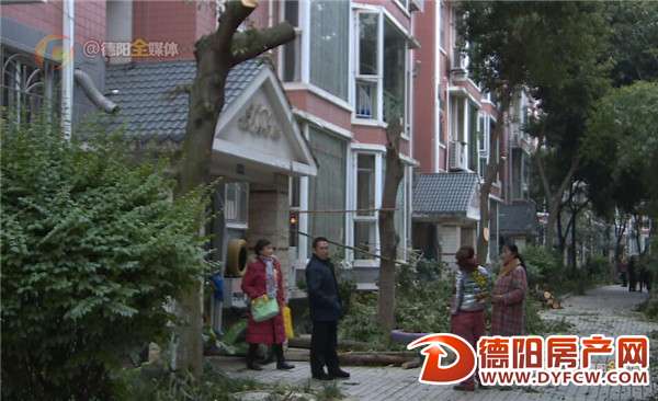 旌湖星辰小区：修剪树丫变砍树 小区居民好伤心