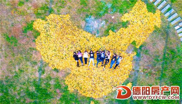 罗江大学生用两麻袋银杏叶拼出中国地图 获众多网友点赞