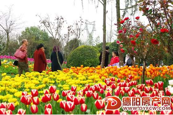 阳春三月 德阳这些地方都是“花花世界”